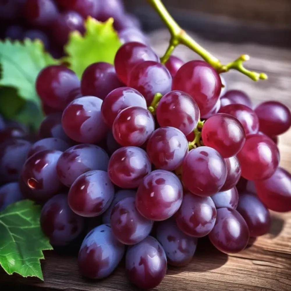 Szőlőoltvány Ruby Seedless (Királyi rubin) - magnélküli szőlőfajta - késői érésű